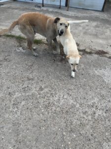 WhatsApp Image 2025-09-08 at 1.37.21 PM (1)