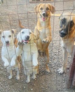 WhatsApp Image 2025-09-20 at 1.00.26 PM