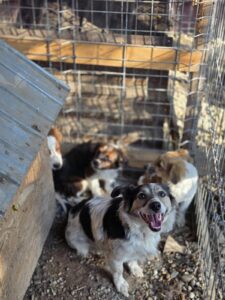 WhatsApp Image 2025-09-24 at 10.09.41 PM