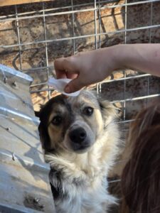 WhatsApp Image 2025-09-24 at 10.10.12 PM