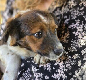 WhatsApp Image 2025-09-24 at 10.12.09 PM (1)