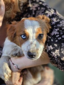 WhatsApp Image 2025-09-24 at 10.12.09 PM