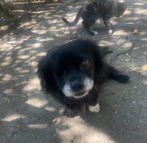 WhatsApp Image 2025-09-24 at 10.20.34 PM (1)