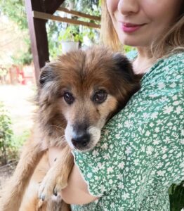 WhatsApp Image 2025-09-24 at 10.48.19 PM (1)