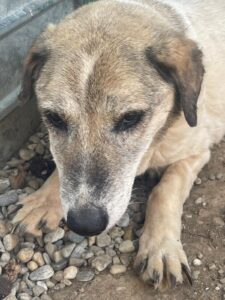 WhatsApp Image 2025-09-24 at 10.48.54 PM (1)