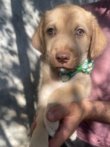 WhatsApp Image 2025-09-24 at 10.52.21 PM (1)