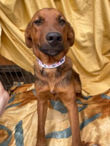 WhatsApp Image 2025-09-24 at 10.52.21 PM (4)