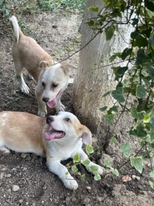 WhatsApp Image 2025-09-24 at 10.52.22 PM (2)