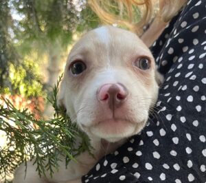 WhatsApp Image 2025-09-24 at 10.52.22 PM (3)