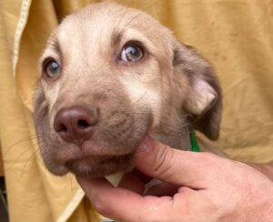 WhatsApp Image 2025-09-24 at 10.52.22 PM (4)