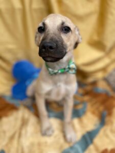 WhatsApp Image 2025-09-24 at 10.52.22 PM (5)