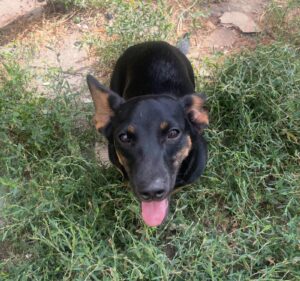 WhatsApp Image 2025-09-24 at 10.52.24 PM (2)