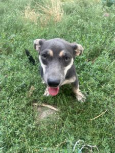 WhatsApp Image 2025-09-24 at 10.52.24 PM (3)