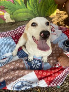 WhatsApp Image 2025-09-24 at 10.52.24 PM (4)