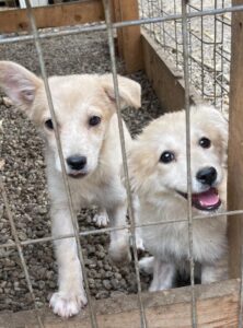 WhatsApp Image 2025-09-24 at 10.52.24 PM (5)