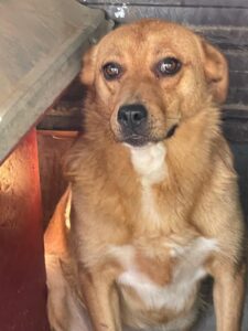 WhatsApp Image 2025-09-24 at 10.53.23 PM (2)