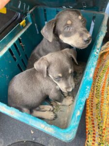 WhatsApp Image 2025-09-24 at 10.54.48 PM (1)