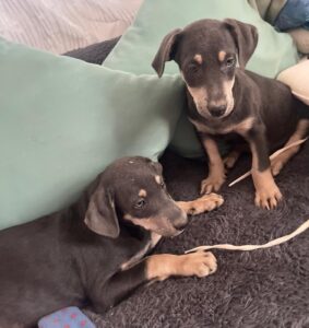 WhatsApp Image 2025-09-24 at 10.55.23 PM