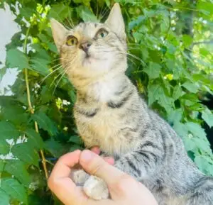 WhatsApp Image 2025-09-24 at 10.56.33 PM (1)