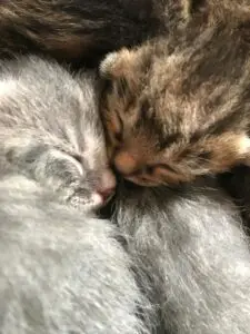 WhatsApp Image 2025-09-24 at 10.56.33 PM (2)