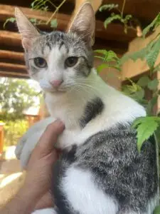 WhatsApp Image 2025-09-24 at 10.56.33 PM