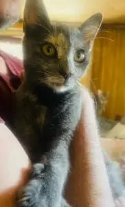 WhatsApp Image 2025-09-24 at 10.56.33 PM (4)