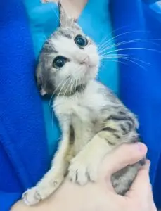 WhatsApp Image 2025-11-21 at 1.17.07 PM (1)