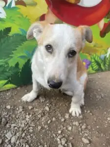 WhatsApp Image 2025-11-21 at 1.17.08 PM (1)