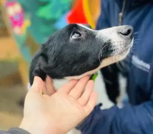 WhatsApp Image 2025-11-21 at 1.17.08 PM