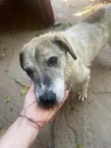 WhatsApp Image 2025-11-24 at 7.49.36 PM