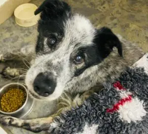 WhatsApp Image 2025-11-24 at 8.11.42 PM