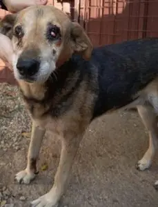 WhatsApp Image 2025-11-24 at 8.28.23 PM