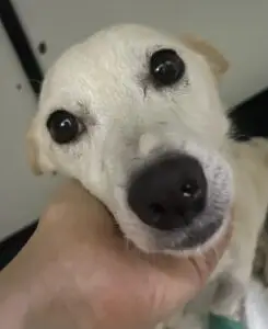 WhatsApp Image 2025-11-25 at 9.37.22 PM