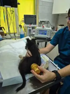 WhatsApp Image 2025-11-25 at 9.42.47 PM (1)