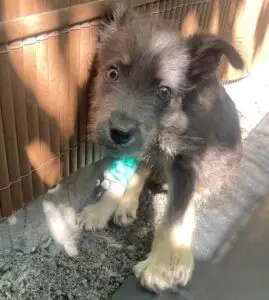 WhatsApp Image 2025-11-25 at 9.42.47 PM