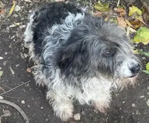 WhatsApp Image 2025-11-26 at 1.01.48 PM