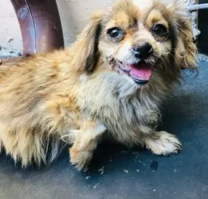 WhatsApp Image 2025-11-27 at 2.44.42 PM