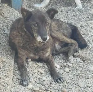 WhatsApp Image 2025-11-27 at 3.22.20 PM