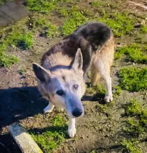 WhatsApp Image 2025-11-27 at 6.32.51 PM