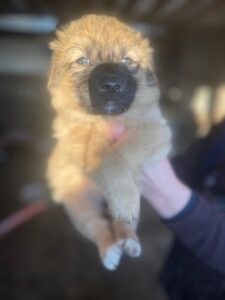 WhatsApp Image 2025-03-26 at 3.11.17 PM