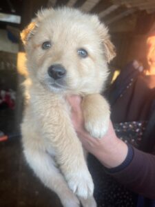 WhatsApp Image 2025-03-26 at 3.12.02 PM