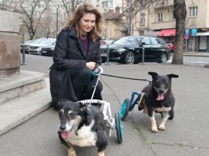 WhatsApp Image 2025-03-26 at 3.12.54 PM