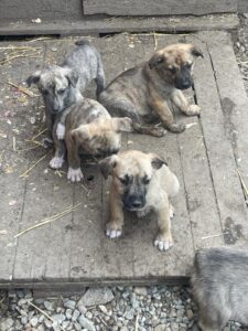 WhatsApp Image 2025-04-06 at 6.50.42 PM