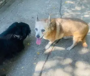 WhatsApp Image 2025-12-01 at 10.02.04 PM