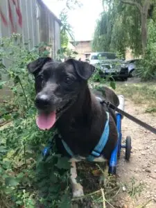 WhatsApp Image 2025-12-01 at 10.05.53 PM