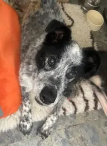 WhatsApp Image 2025-12-01 at 10.07.46 PM