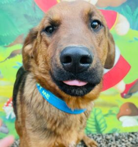 WhatsApp Image 2025-12-01 at 10.19.32 PM