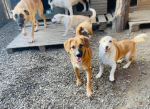 WhatsApp Image 2025-12-01 at 10.19.33 PM (2)