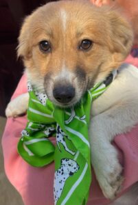 WhatsApp Image 2025-12-01 at 10.19.33 PM