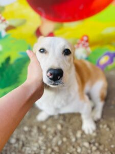 WhatsApp Image 2025-12-01 at 10.19.33 PM (3)